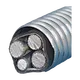 yjlh60 
